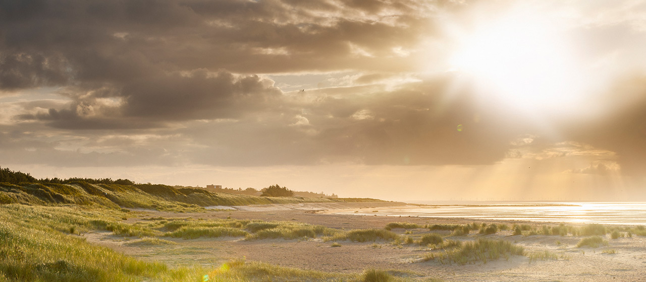 Nordsee erleben