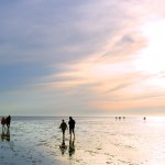 Wattenmeer bei Büsum