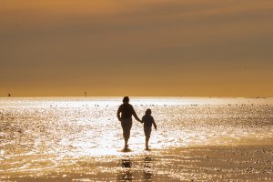 Natur pur – das deutsche Wattenmeer.