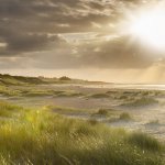 Strand an der Nordsee